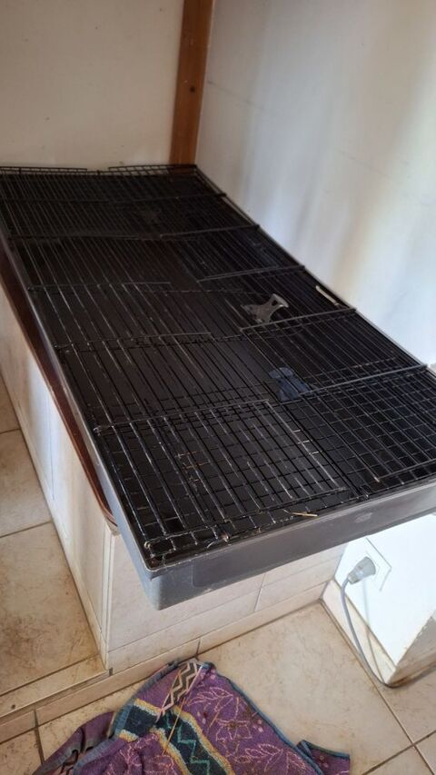 Cages rongeurs 1m20 20 89240 Pourrain