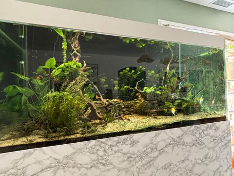 aquarium avec la totalit&eacute; de ce qu'il y a l'int&eacute;rieur. 890 34620 Puisserguier
