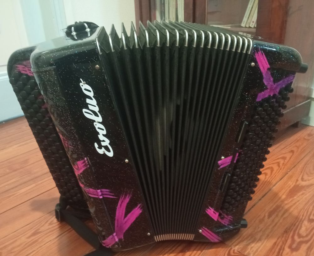 Accord&eacute;on Evoluo midi 96 basses 3 voix musette Instruments de musique