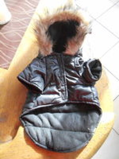   doudoune pour chien 