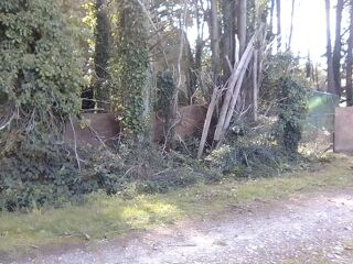  Terrain � vendre 7400 m�