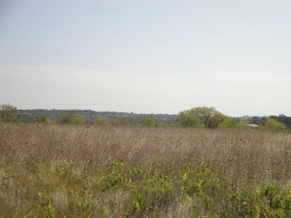 Vente Terrain Terrain de 2400 m2 fort potentiel pour devenir constructible Nézignan-l'Évêque