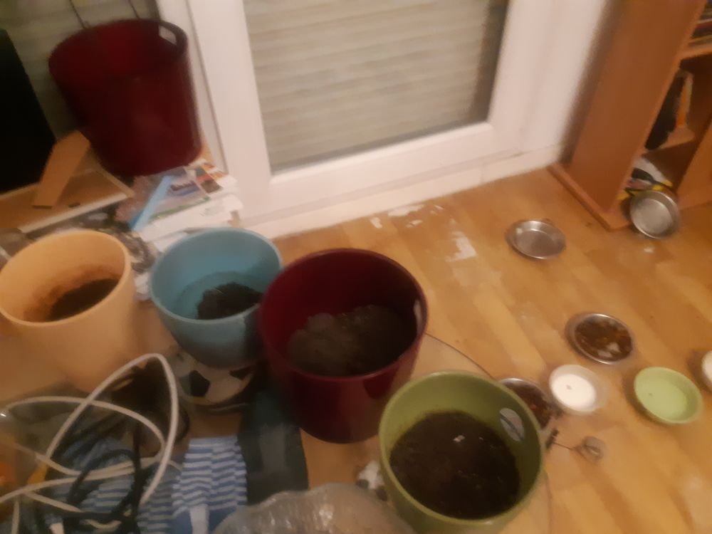 Lot de 4 pots pour fleurs ou plantes Décoration