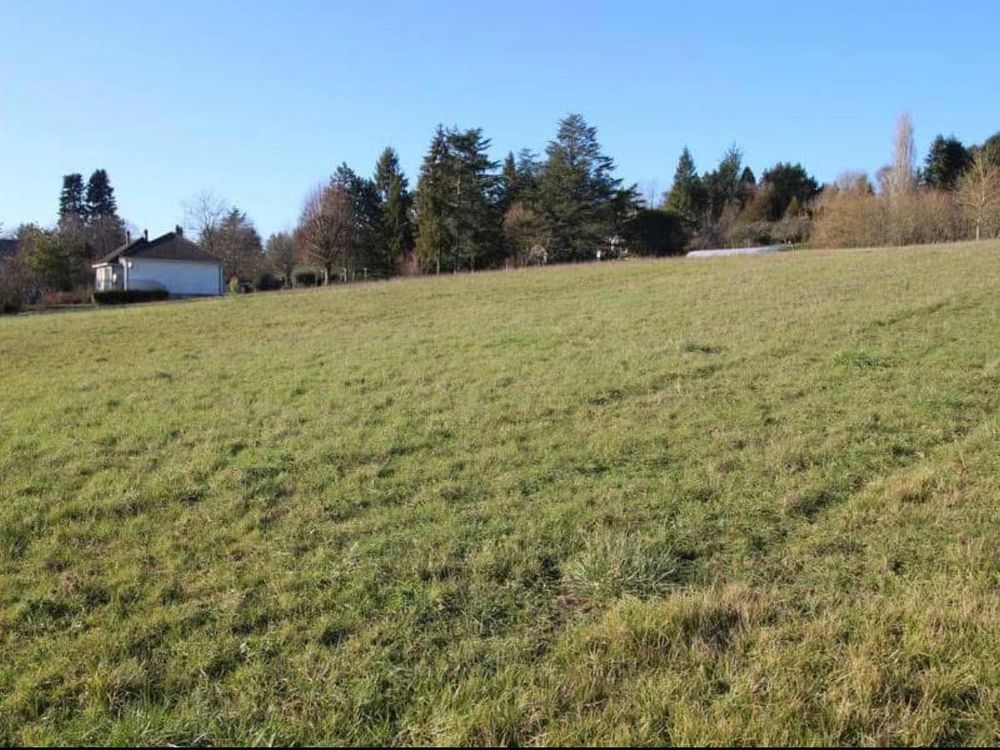 Vente Terrain Terrain Constructible avec vue sur collégiale et bourg. Levroux