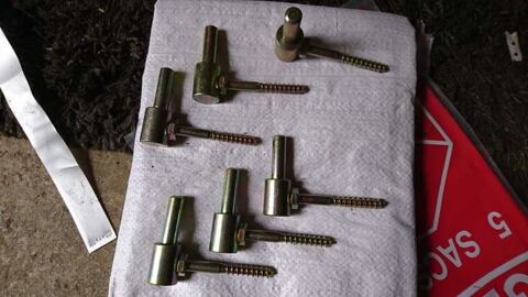 Gonds � visser pour volets bois 2 Le Gault-Soigny (51)