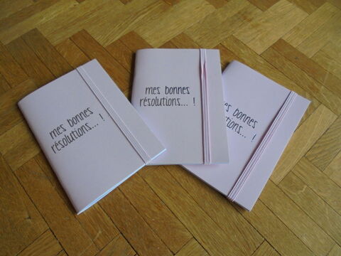 Carnets  Mes bonnes r�solutions... !  (45) 3 Tours (37)