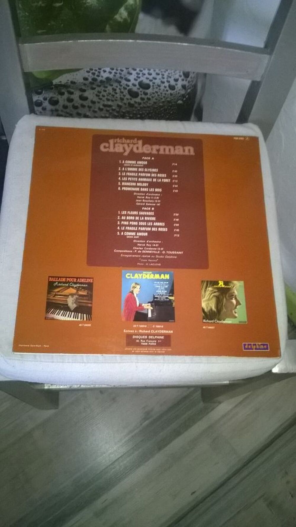 Vinyle Richard Clayderman
A Comme Amour - Les Fleurs Sauvag CD et vinyles