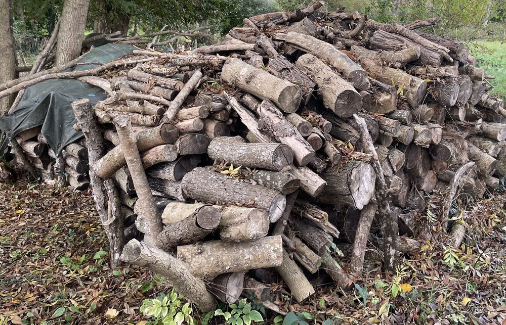 BOIS DE CHAUFFAGE Jardin