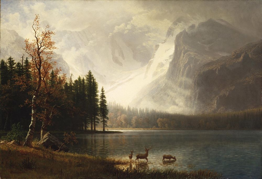 Ach&egrave;te tableaux anciens tout sujet 