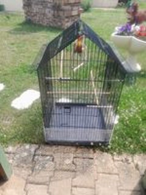   Cages  