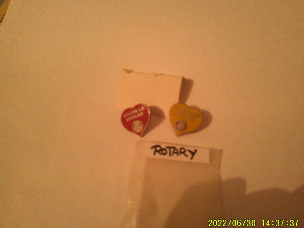 ( 2 ) PIN'S . " J' AIDE LE ROTARY " 