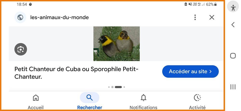   Recherche  