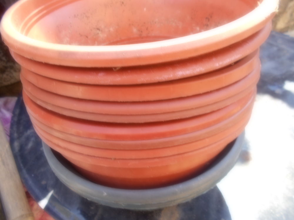 coupe de fleurs Jardin