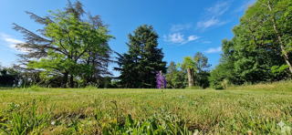  Maison à vendre 15 + pièces 320 m²