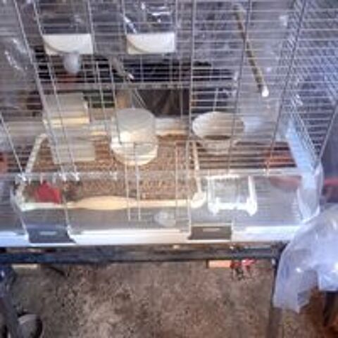   cage neuve mont�e ht :90 larg:  80 epaiss : 45 