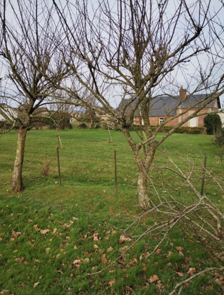  Terrain � vendre 540 m�