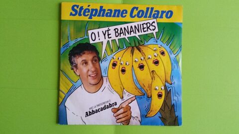 STÉPHANE COLLARO 0 Toulouse (31)