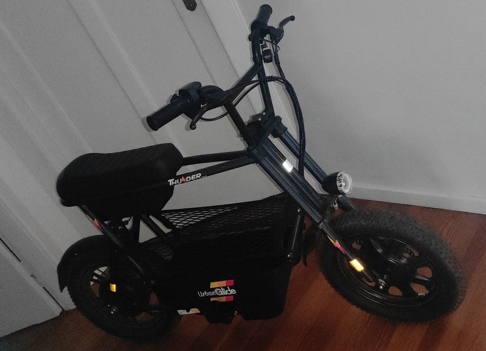 Draisienne &eacute;lectrique Vélos
