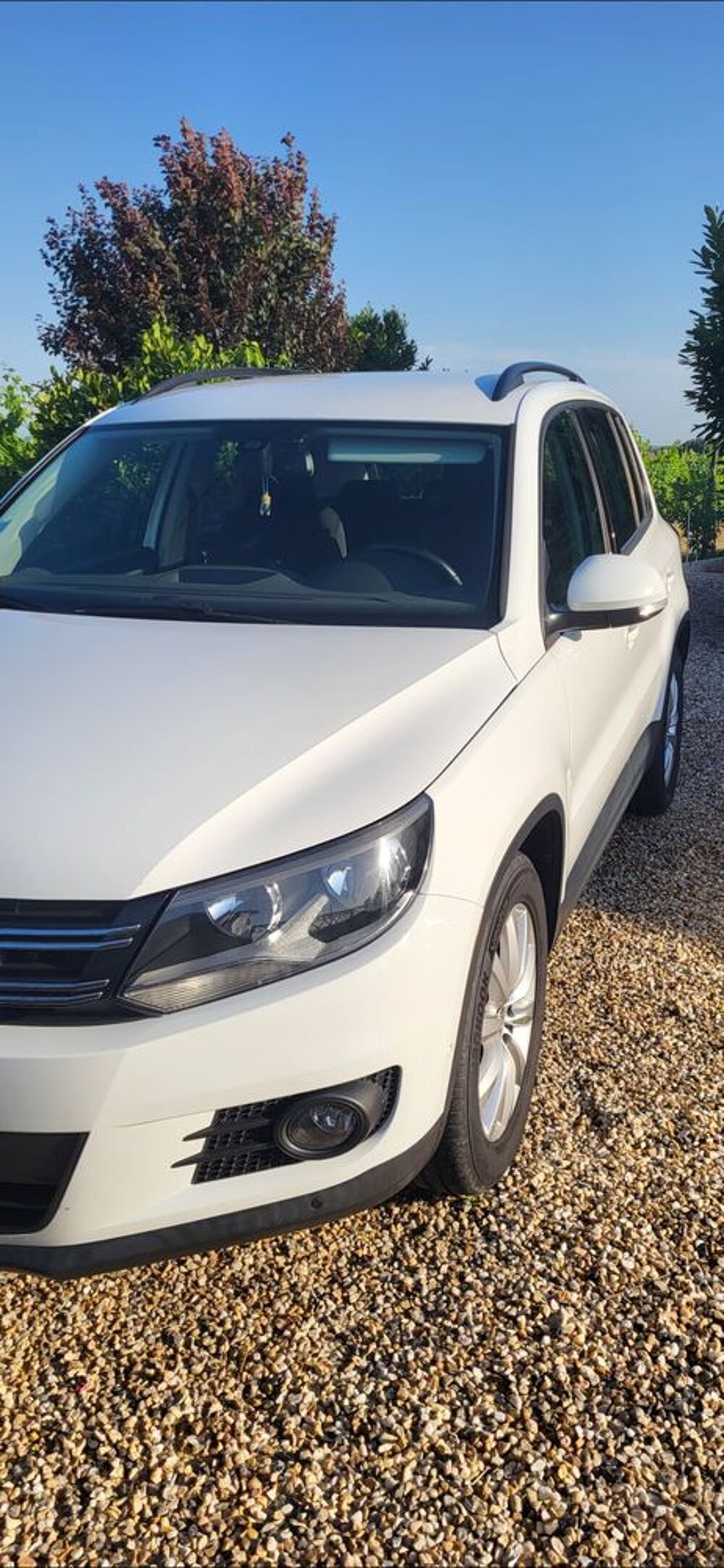 Tiguan 2.0 TDI 110 FAP BlueMotion Technology 2014 occasion 33350 Doulezon