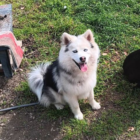 Arlo 200 26320 Saint-marcel-l�s-valence