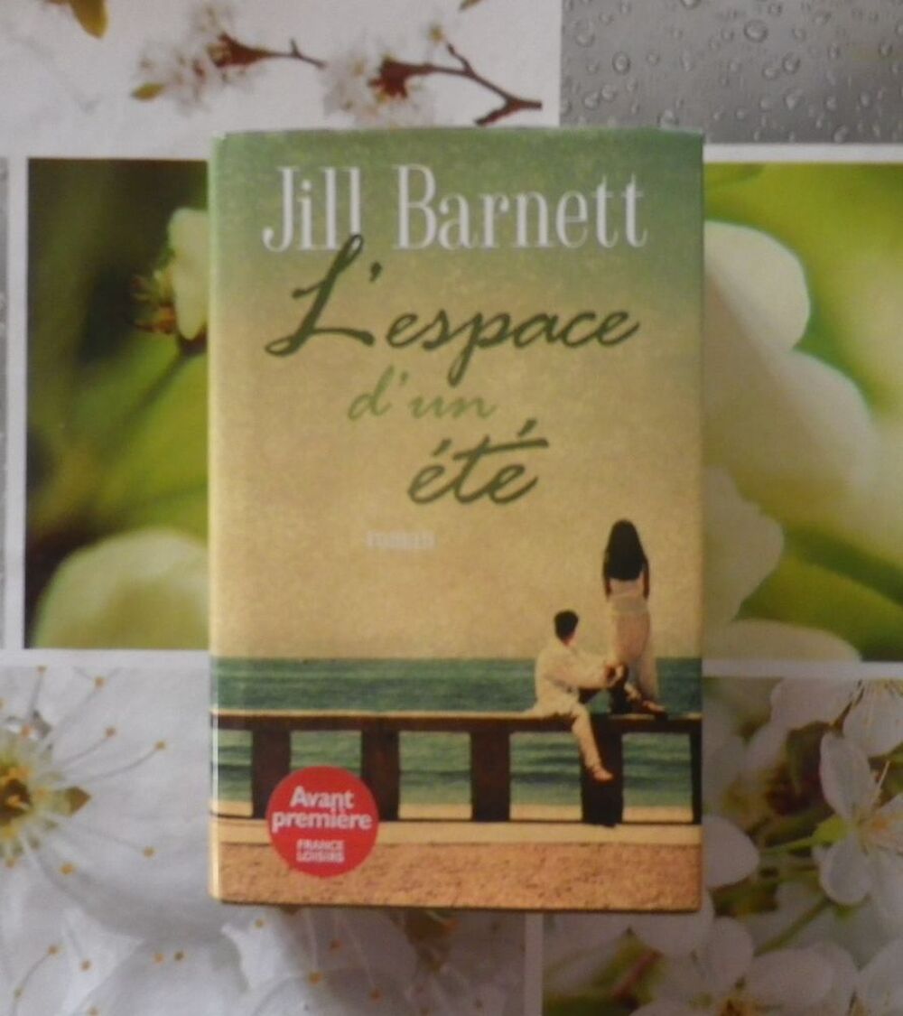 ROMAN L'ESPACE D'UN ETE de Jill BARNETT Livres et BD