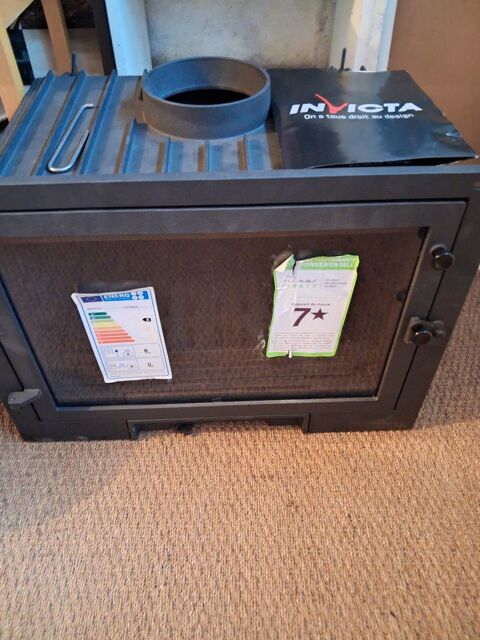 Insert foyer fonte neuf 400 Courcoury (17)