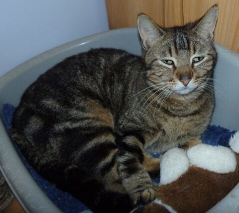 Esme 250 47500 Sauveterre-la-lmance