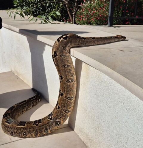 A VENDRE 0 13190 Allauch