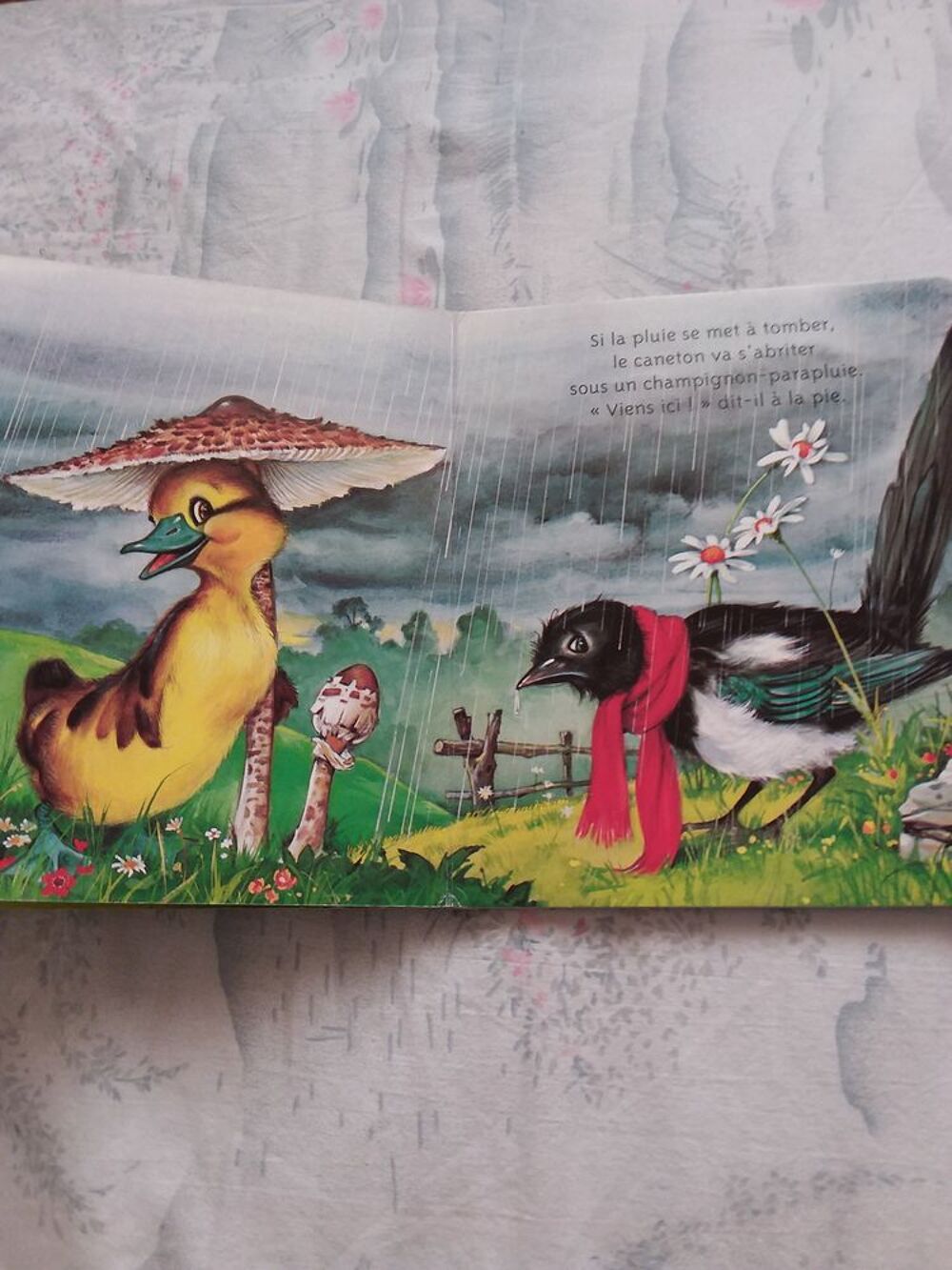 Mes amis les canards Livres et BD