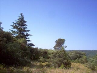  Terrain � vendre 1300 m�