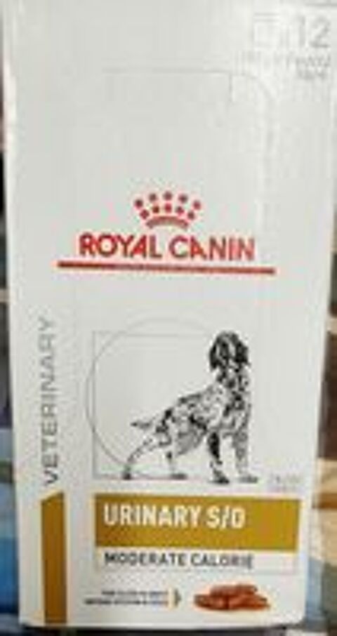   Nourriture pour chiens 