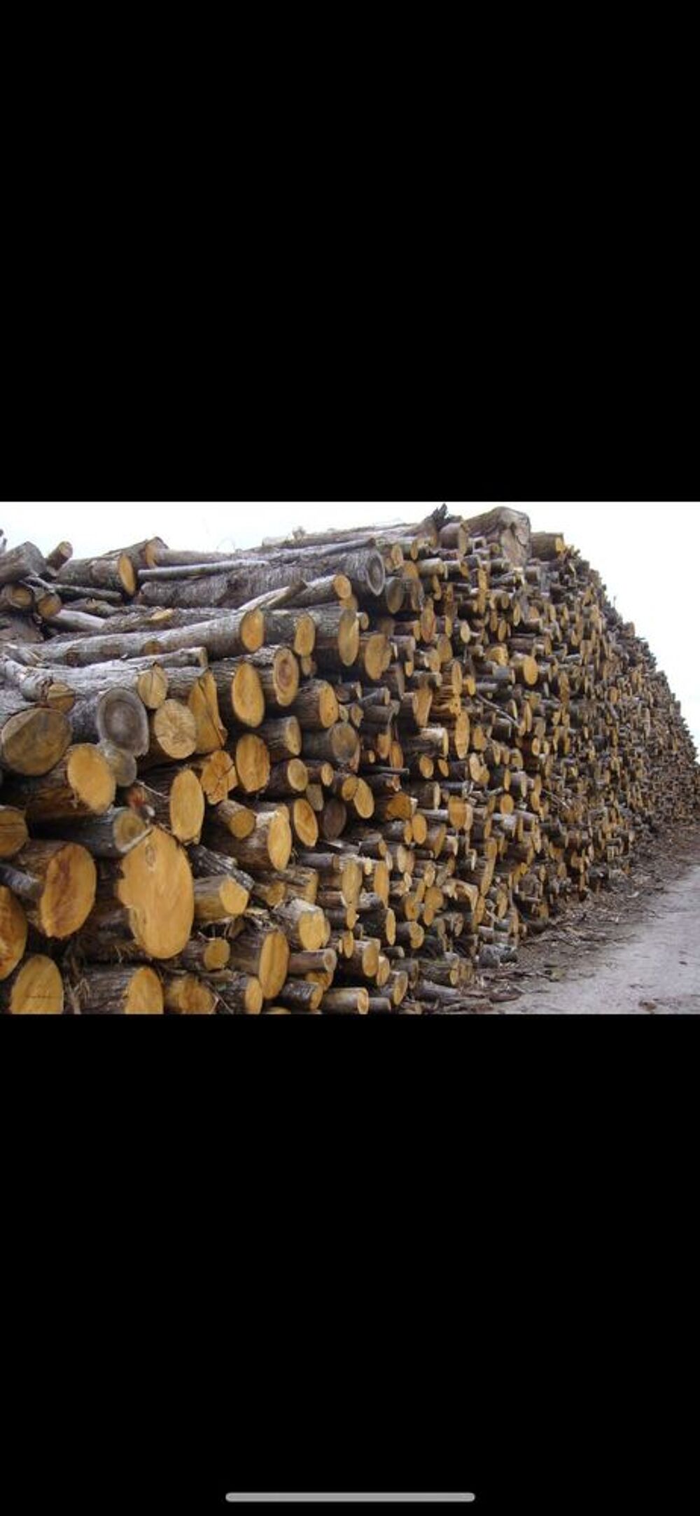 Bois de chauffage - ST&agrave;�RE DE BOIS BIEN SEC �" PR&Ecirc;T &agrave;� BR&agrave;�LER ! Jardin