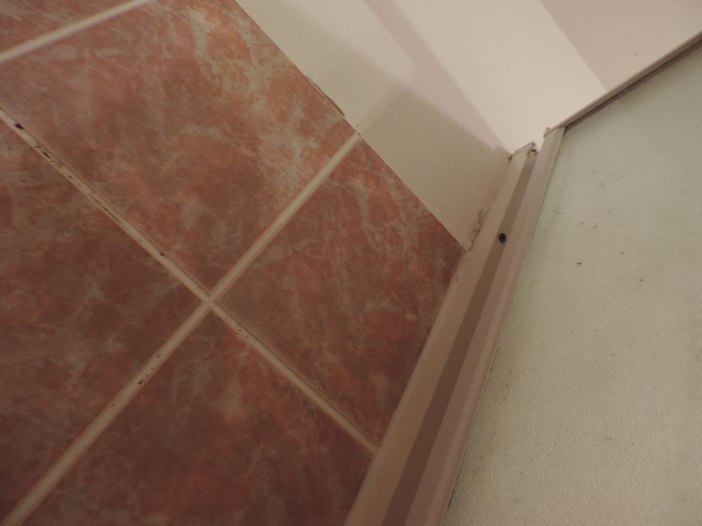 PAROIS DE DOUCHE OCCASION. Bricolage