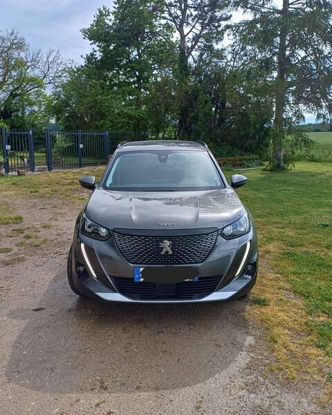 Peugeot 2008 BlueHDi 110 S&S BVM6 Allure Pack 2021 occasion Chilleurs-aux-Bois 45170