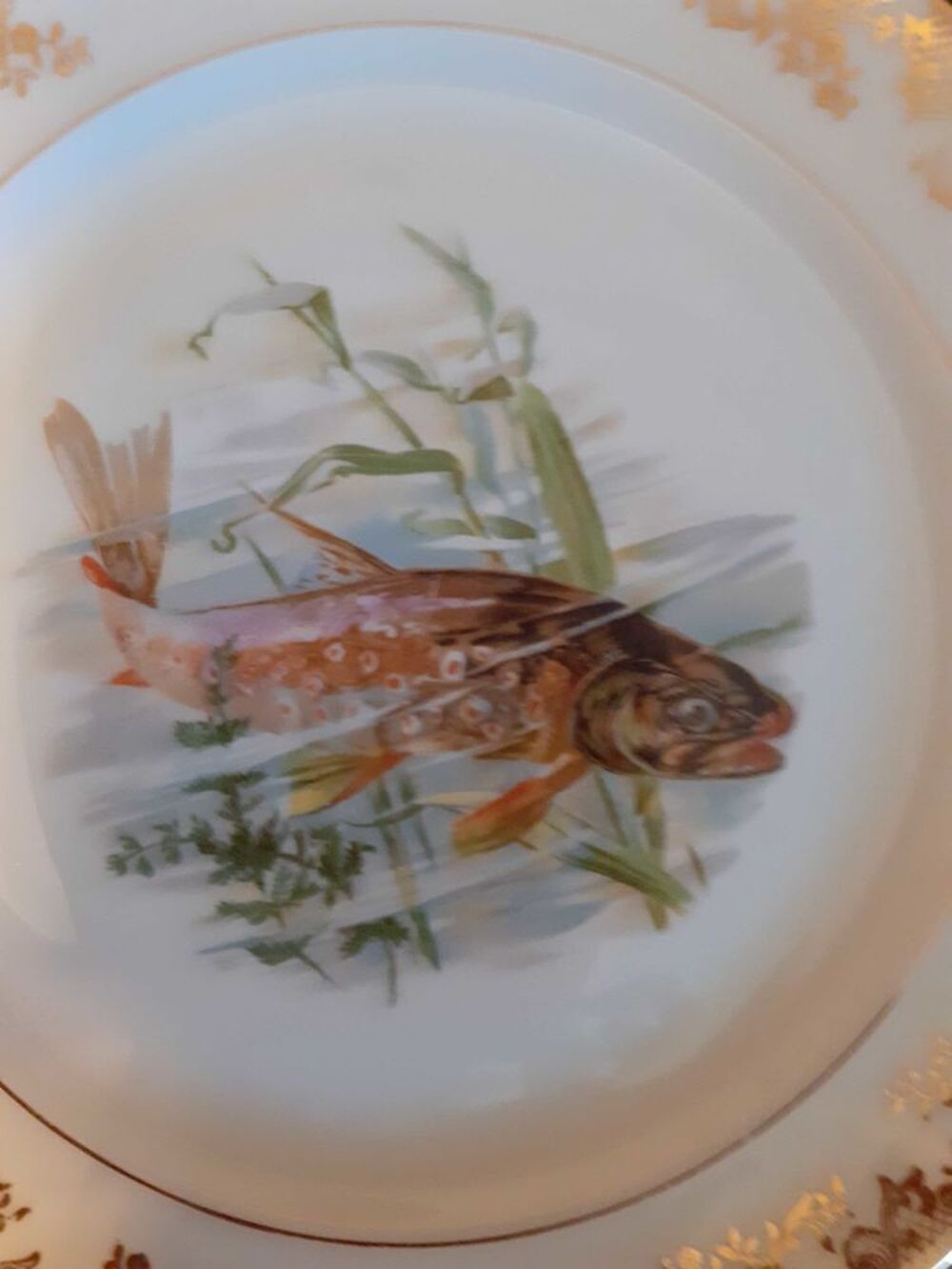 service &agrave; poisson Décoration