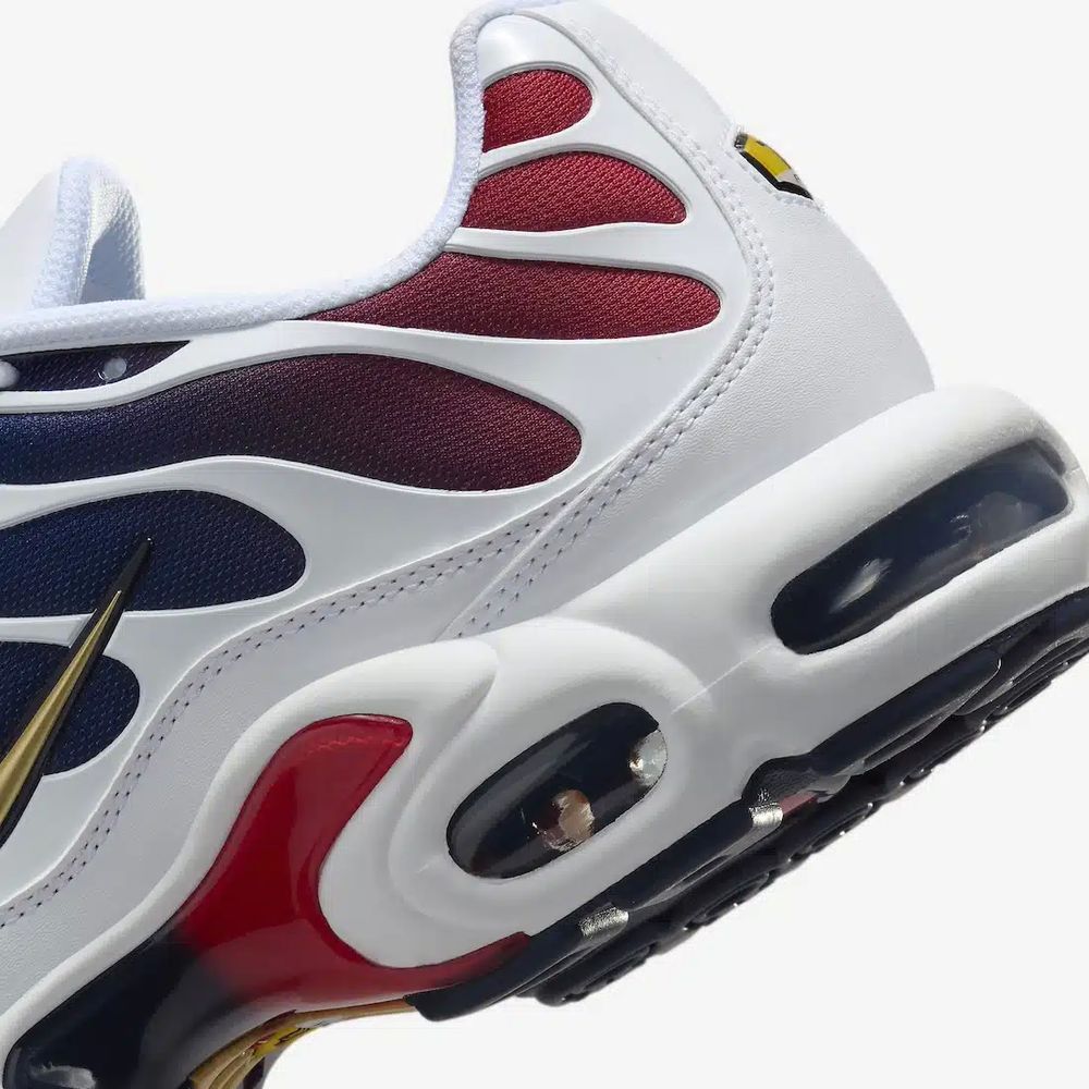 CHAUSSURE NIKE TN AIR REQUIN OFFICIEL PSG Chaussures