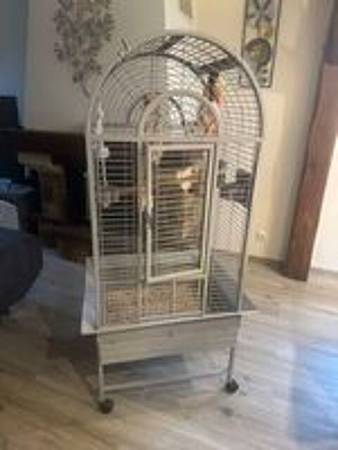   Cage Montana pour Perroquet  