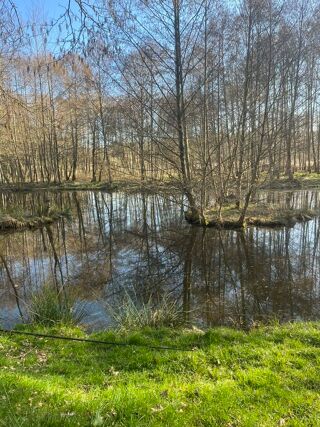  Propri�t�/ch�teau � vendre 1 pi�ce 10000 m�