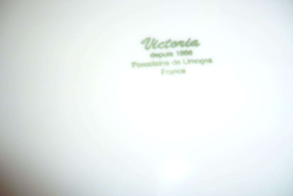 ASSIETTE OU PLAT ROND PORCELAINE DE LIMOGES Cuisine
