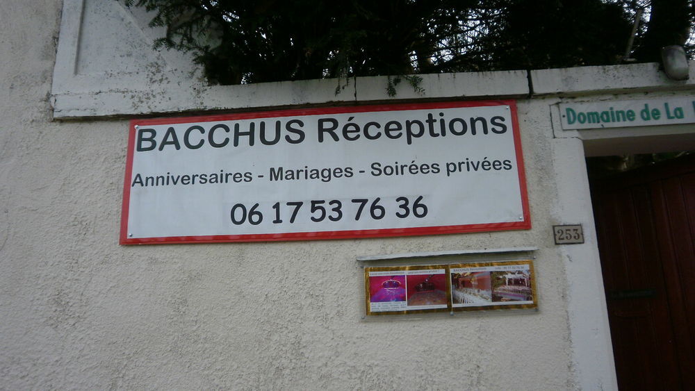   Où faire la fête cet été: au BACCHUS bien sûr! 