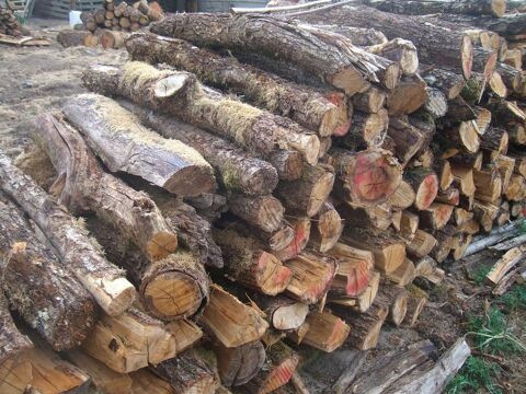 vd  5  stères de  bois   sec   scier en 1  metre 47 Moulins (03)