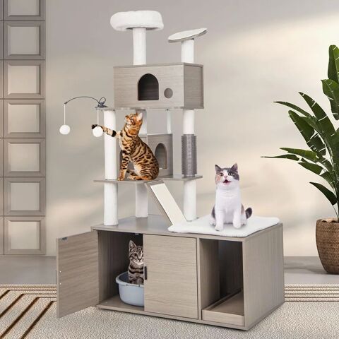 ARBRE � CHAT 100 Huriel (03)