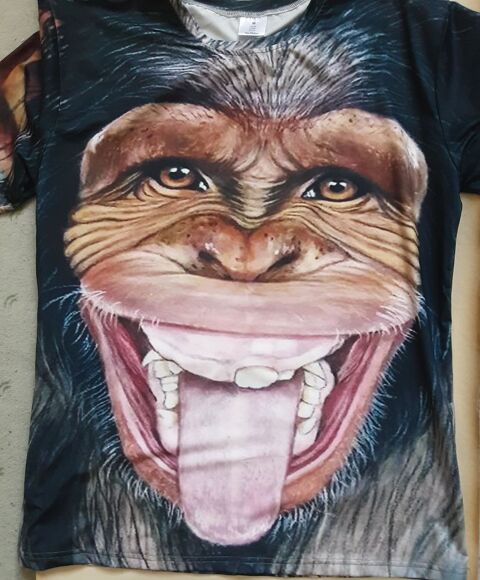 T-SHIRT humoristique T44 manches courtes    CHIMPANZÉ hargne 6 Pontoise (95)