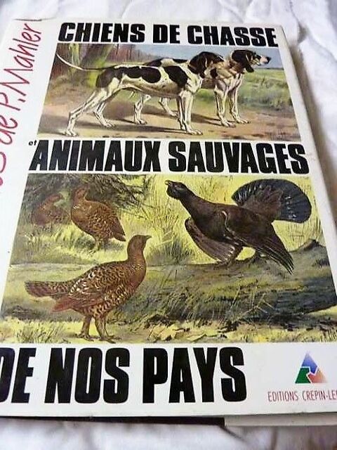  Livre chiens de Chasse 15 Saint-Mdard-en-Jalles (33)