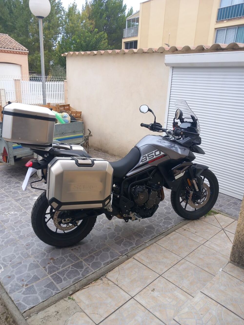 TRIUMPH 2024 occasion 34350 Valras-Plage