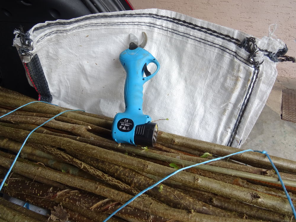 SECATEUR ELECTRIQUE Jardin
