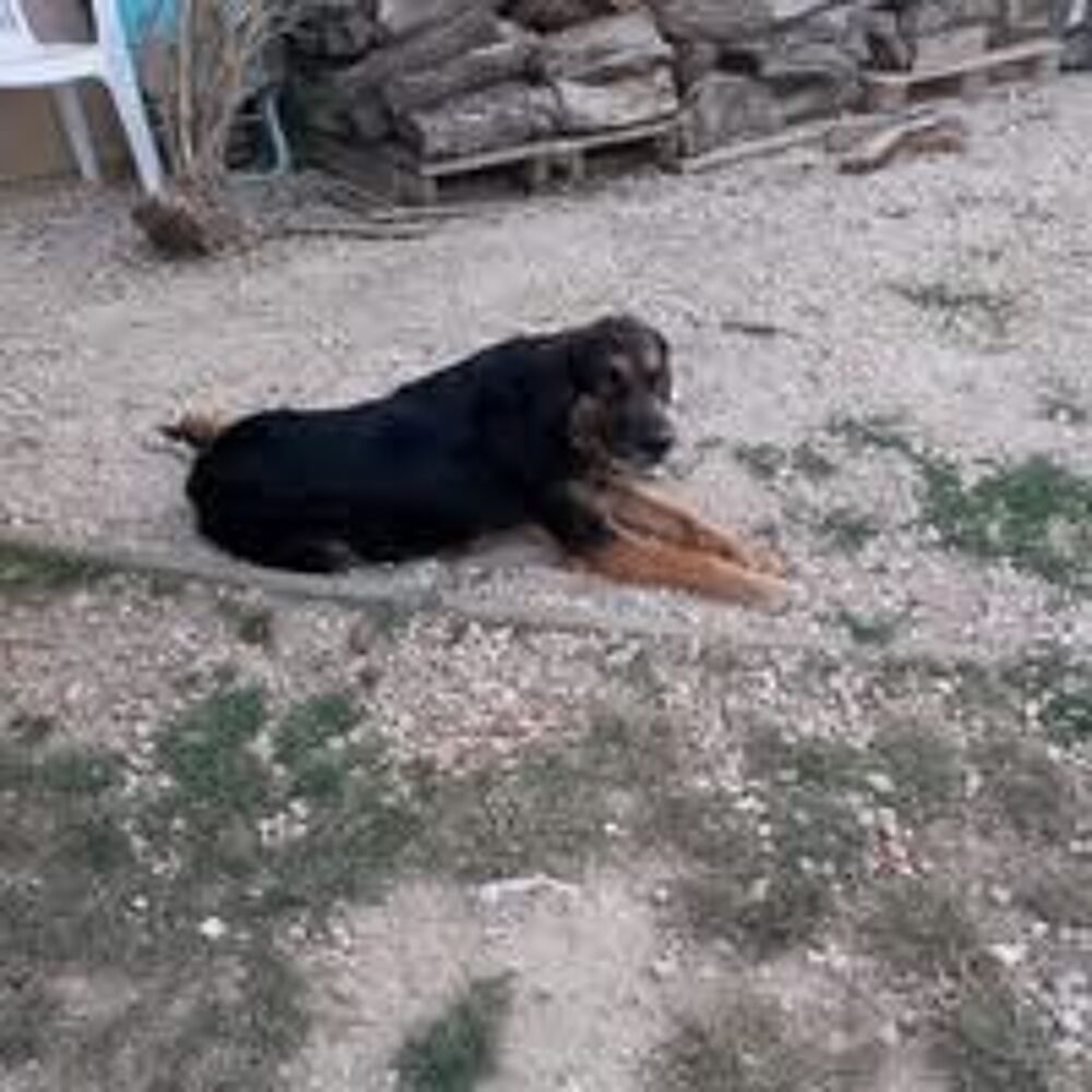   donne pour raison de sant� pour moi 