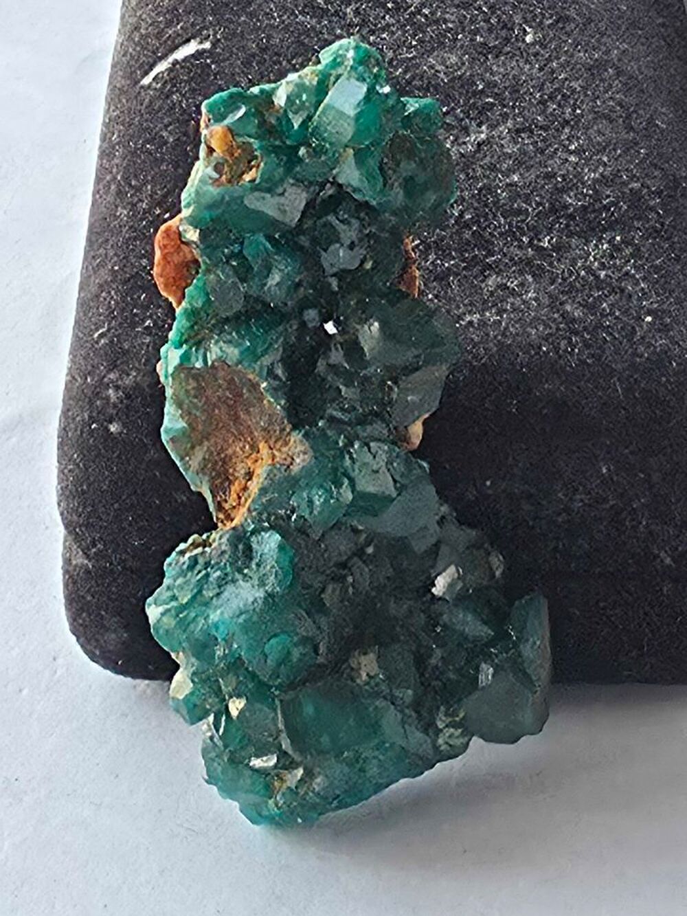 Dioptase brute sur matrice-Min&eacute;ral de collection Katanga 15g 