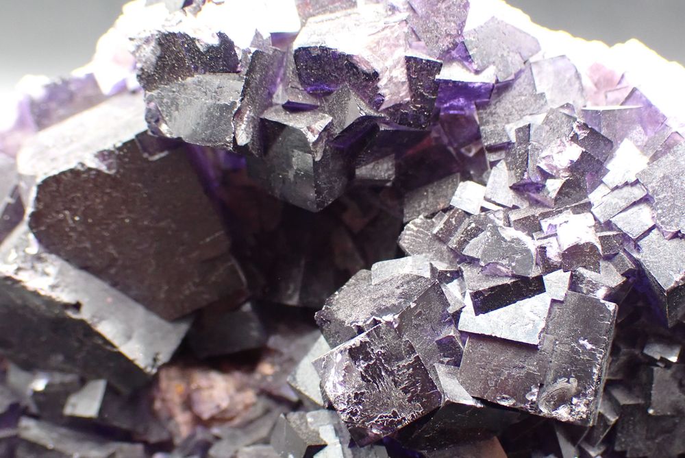 Fluorite XXL , Mine Esperanza , Musquiz , Coahuila , Mexique 