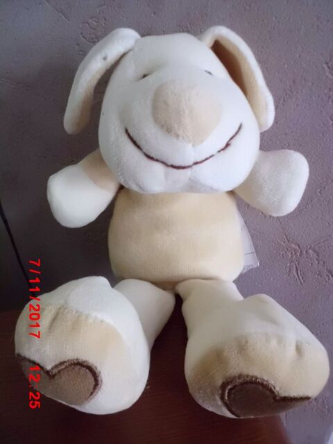 chien beige et ecru doudi 15 Oignies (62)